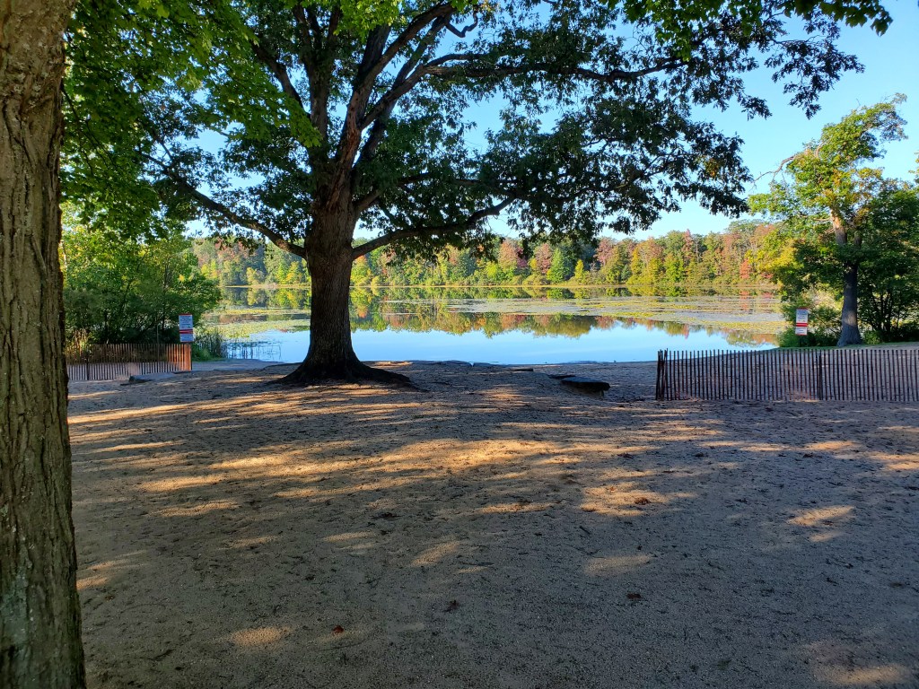 The VerStrate Family&nbsp;Reunions